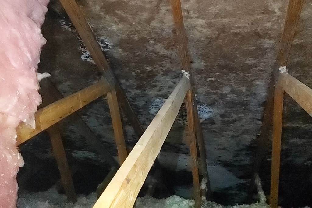 Even More Mold On Wood In The Attic