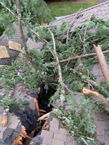 Extreme Roof Damage From Fallen Tree