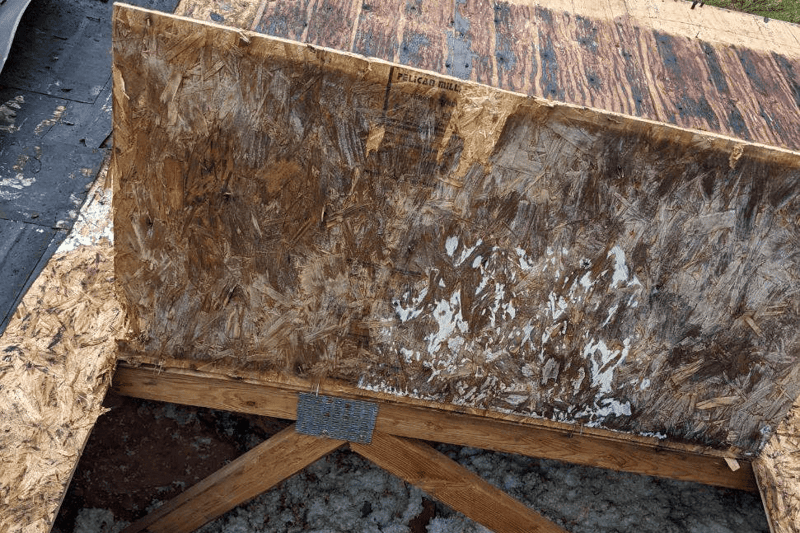 Mold-In-Attic-From-The-Outside
