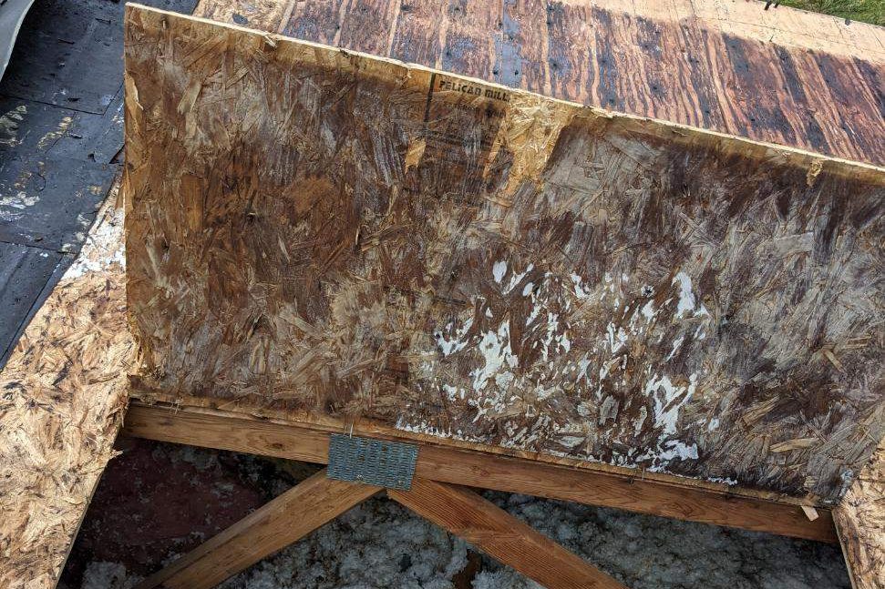 Mold In Attic From The Outside