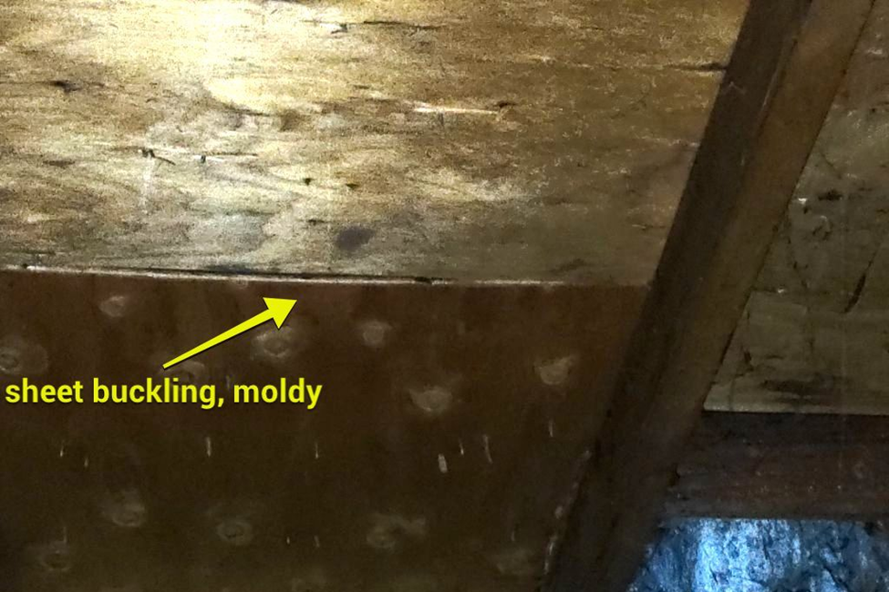 Mold In Attic Of Renton Home