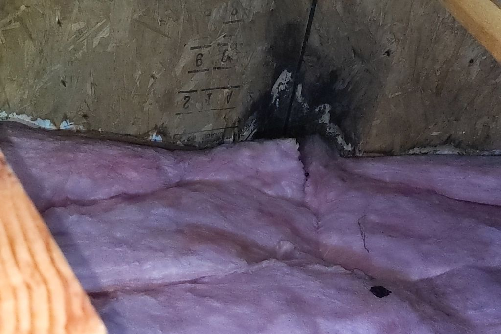 Moldy Attic In Issaquah