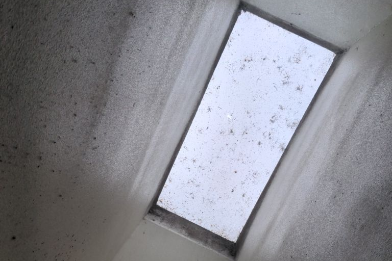 Moldy Leaky Skylight