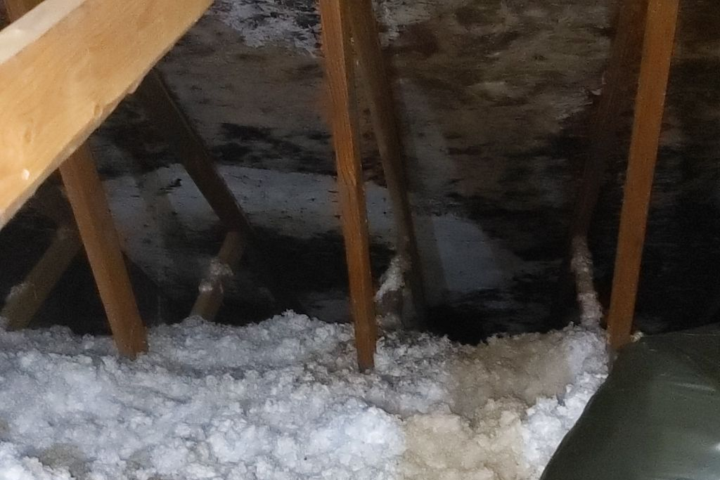 More Moldy Wood In The Attic