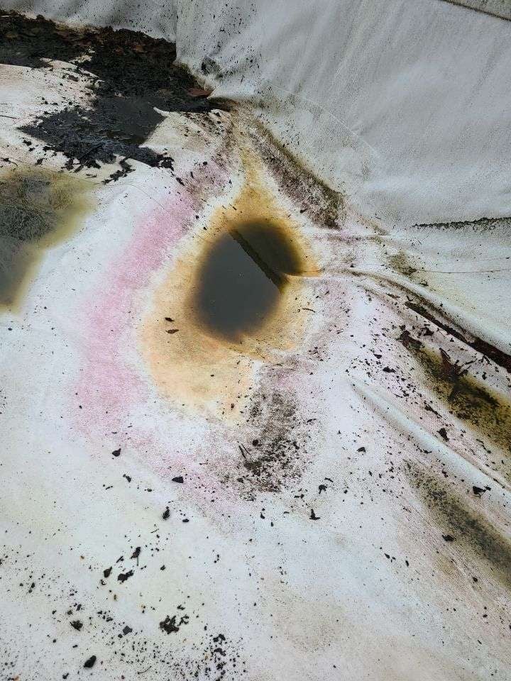 More Pooling Water