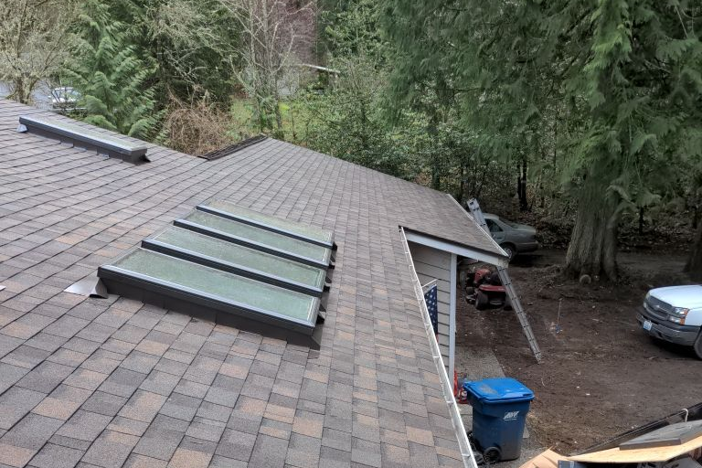 Roof And Skylights
