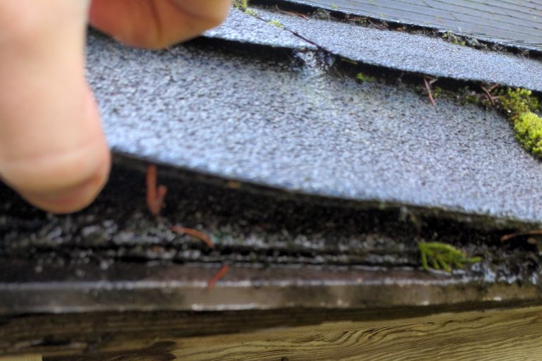 Roof Shingle Sandwich