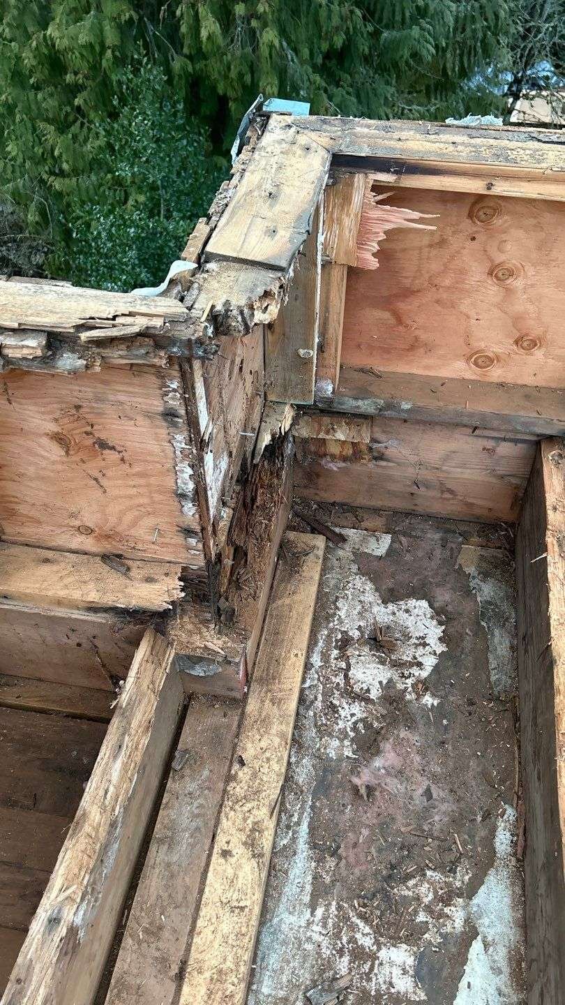 Rotted and Damaged Wood