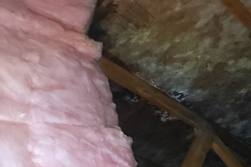 Some More Mold In The Attic