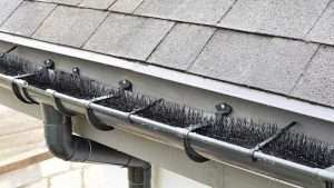 Brush Gutter Guard