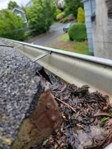 Debris Accumulation In Gutter Guard