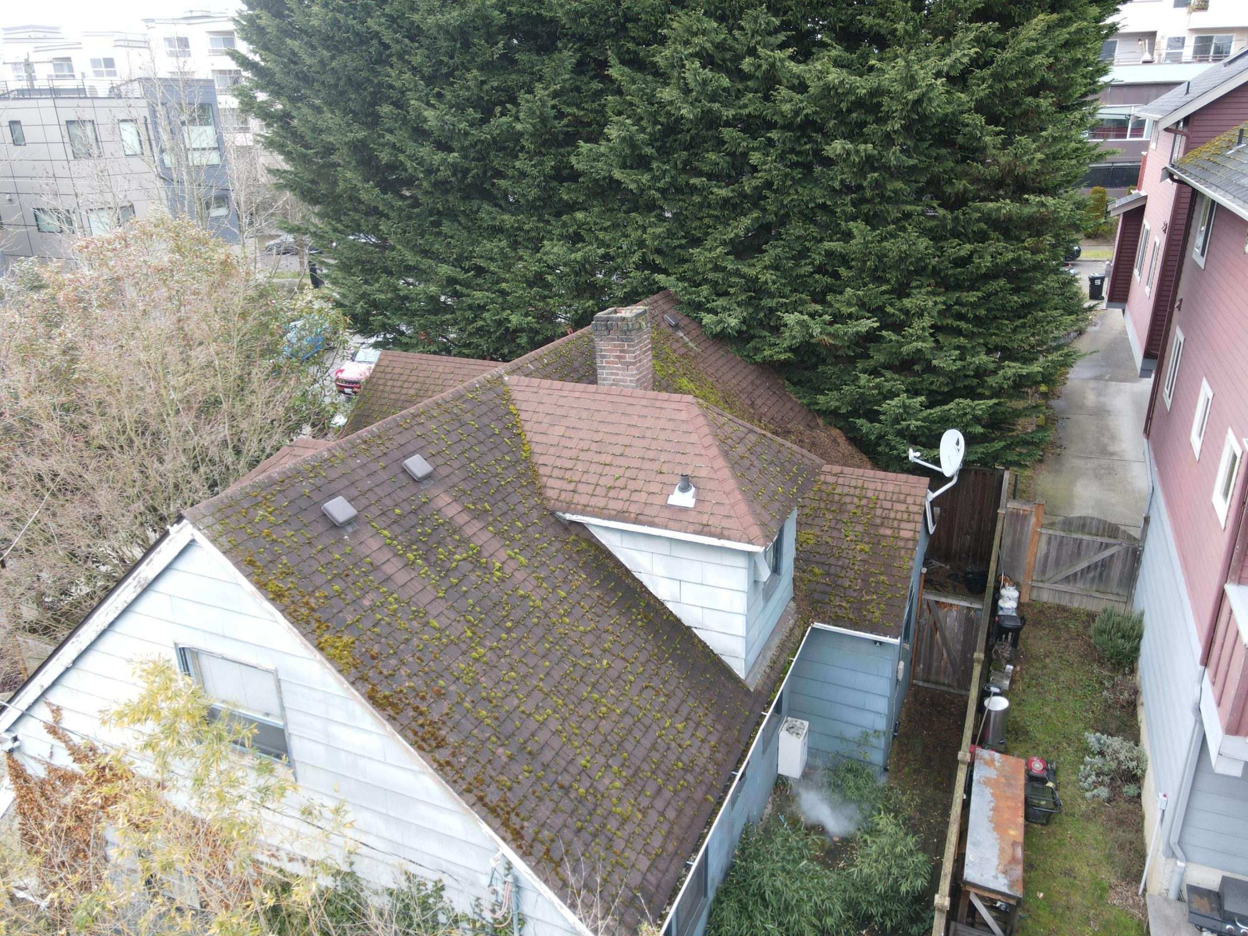 shingle wear and tear