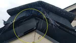 Hairy Predicament Unacceptable Roofing Practices Seattle Roofsmart