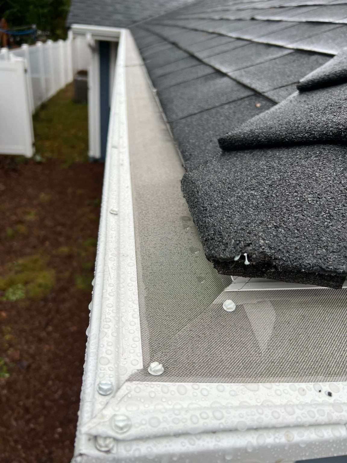 Thatch Guard Best Gutter Guards for Seattle Homes | RoofSmart