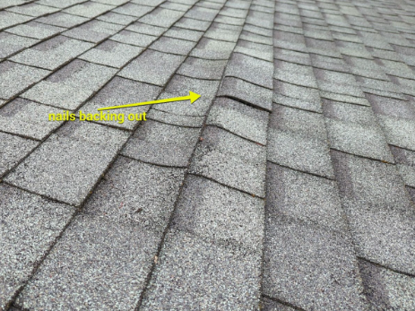 Shiplap Popped Nails Under Asphalt Shingle Seattle Roofsmart
