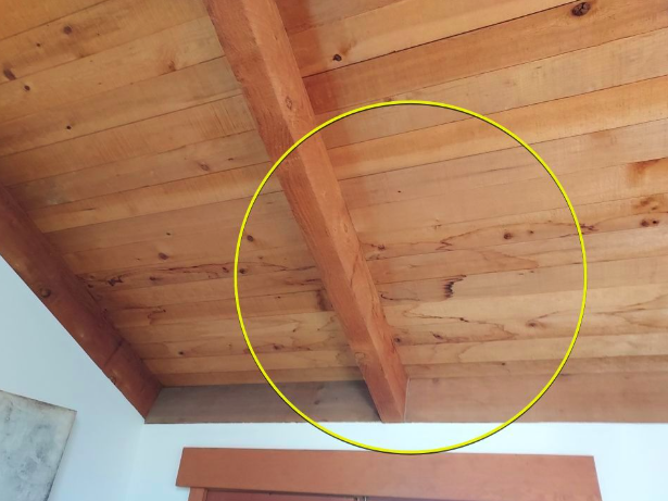 Shiplap Watermarks From Popped Nails Seattle Roofsmart