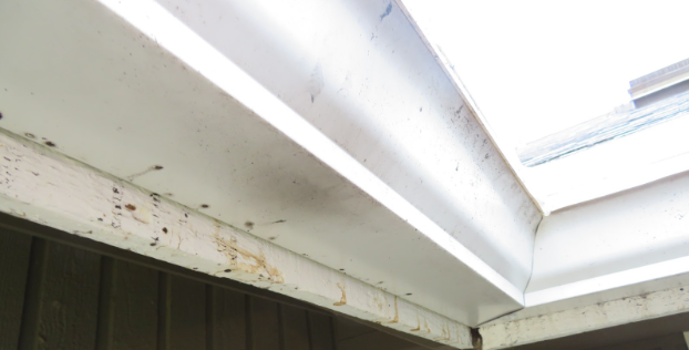 Tiger Striping Stains And Damage Old Gutters Unprotected Seattle Roofsmart