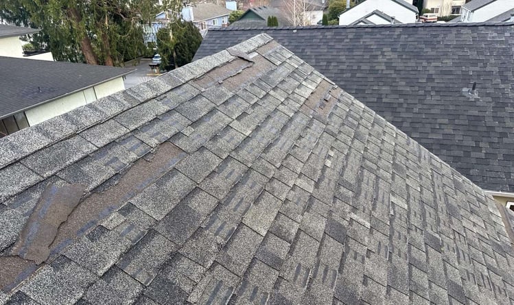 wind-damage-missing-shingles-e1736794957474