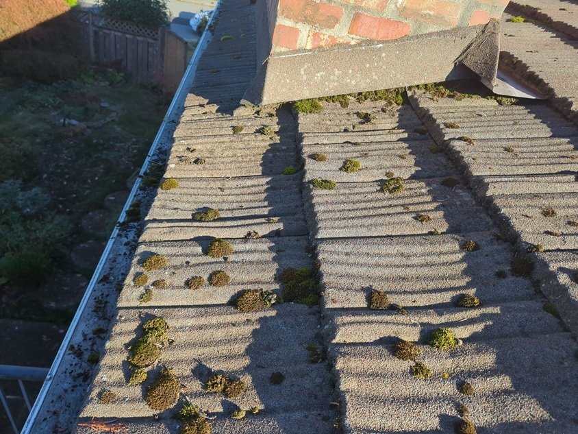 Stone Coated Moss Roof - Bellevue