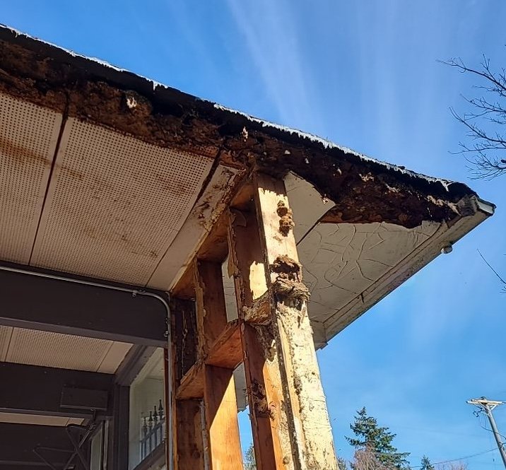 roof rot underneath membrane