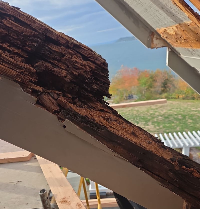 rotten curved glulam beam