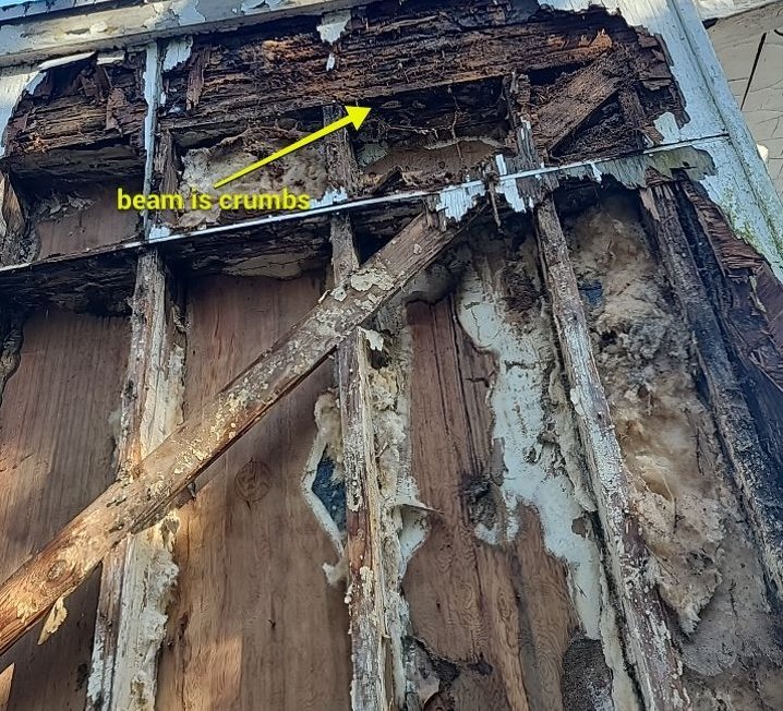 rotting wall from flat roof leak