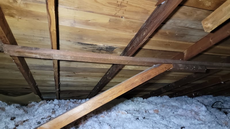 shiplap roof decking