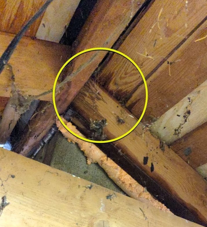 chimney condensation on attic wood