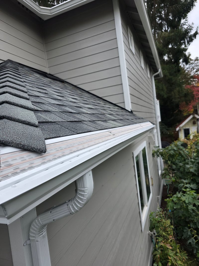 Mesh gutter guard installed on the eave of a gray shingle roof with a white gutter during a RoofSmart project