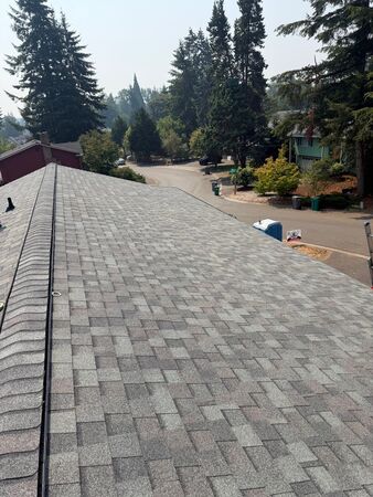 Finished new asphalt shingle roof with a continuous ridge vent along the peak, looking toward a tree-lined street
