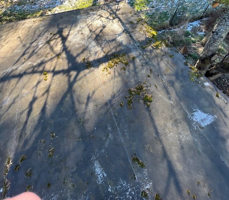 flat roof torch down growing moss