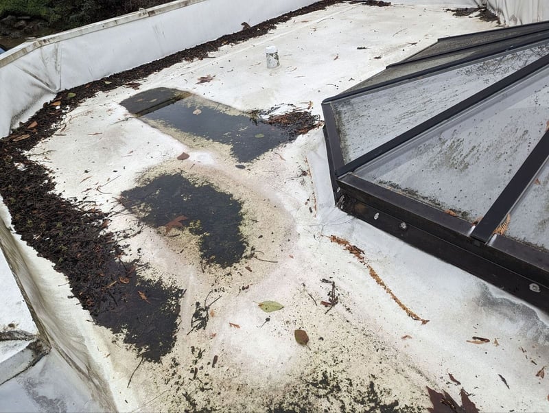 old flat roof with water and debris