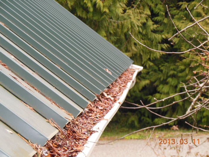 Fallen leaves packed in a gutter below a green metal roof