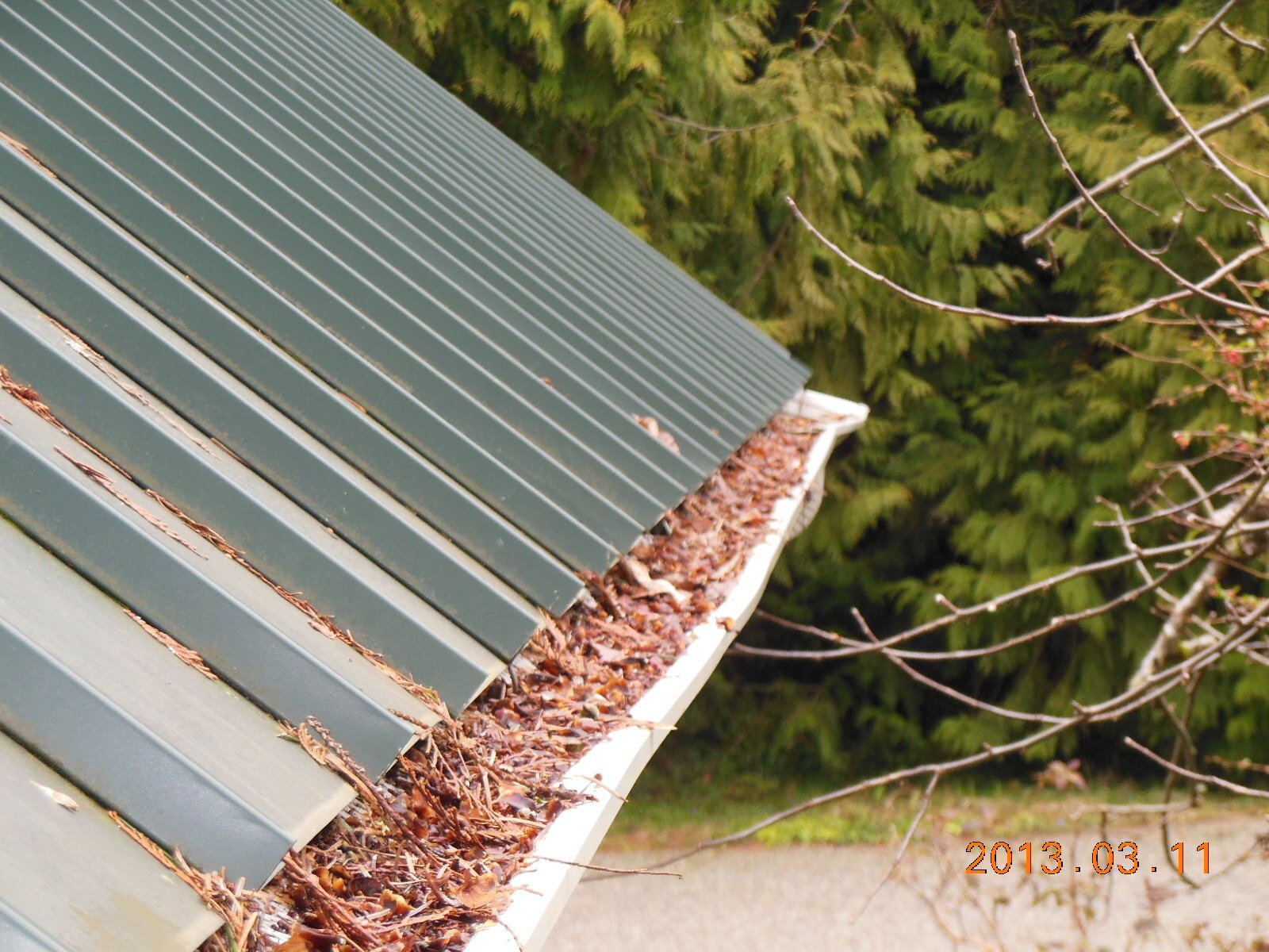 Gutter Screen (3)