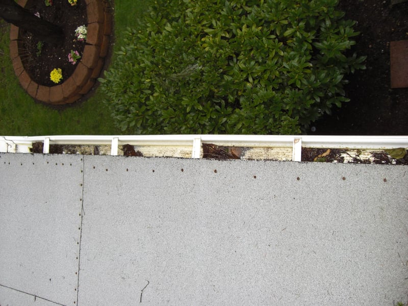 downspout covered with debris