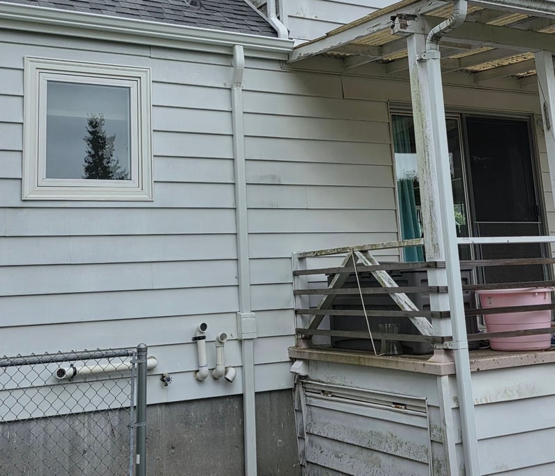 downspout skinny