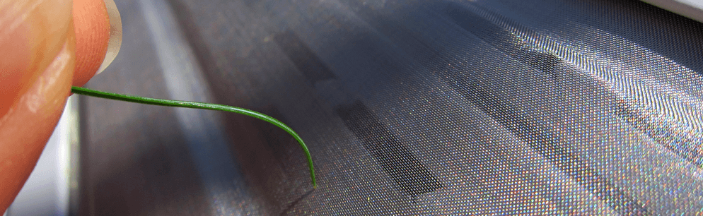 fir needle on mastershield