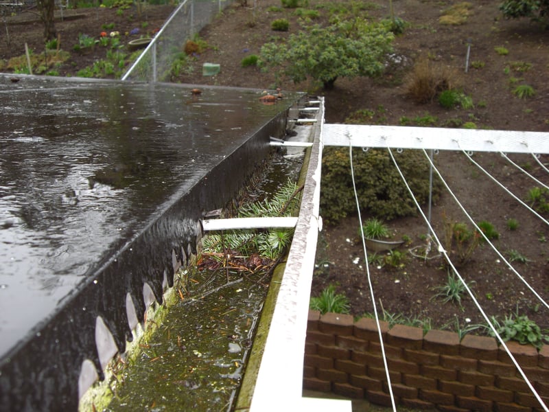 gutter clogging with gunk