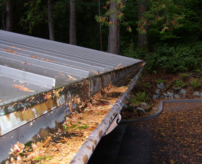 gutter full of muck