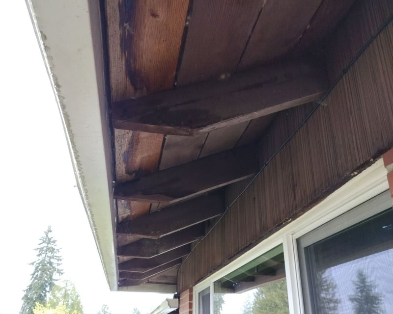 gutter installed on rafter tails