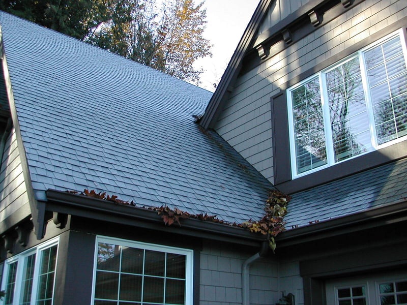 gutters filled with leaves