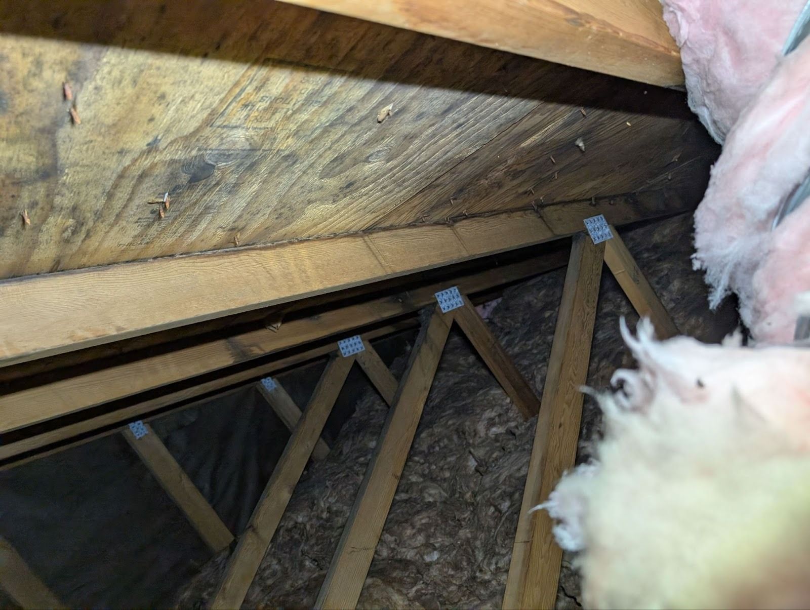 attic condensation with drip marks
