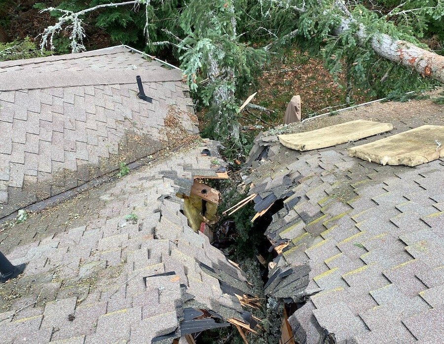 damaged roof after tree removal