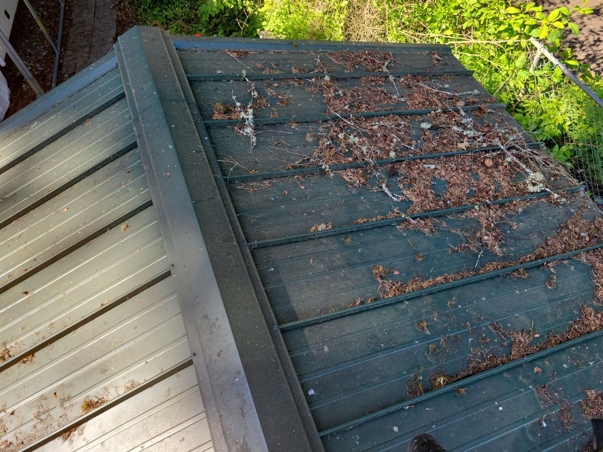 debris on roof