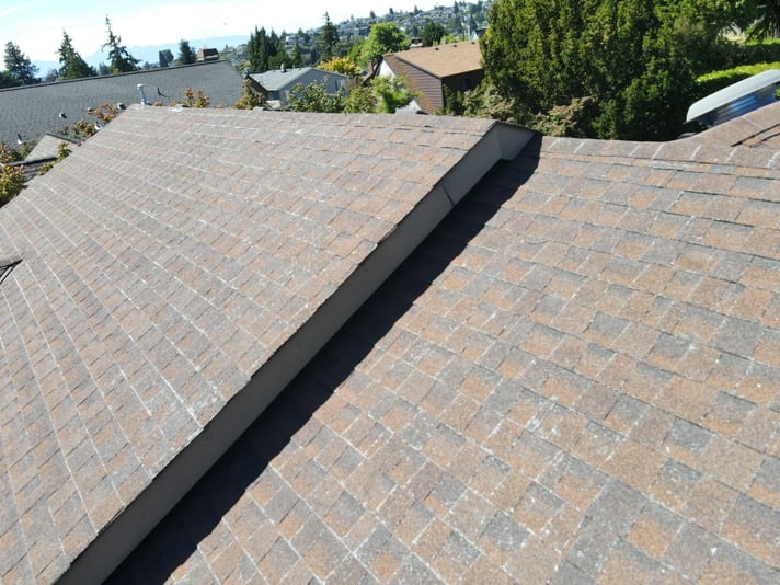 dry cracked shingles