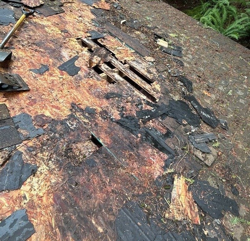 dry rot on roof