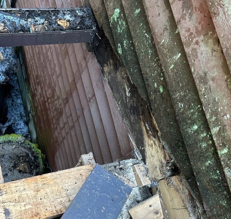 dry rot roof framing