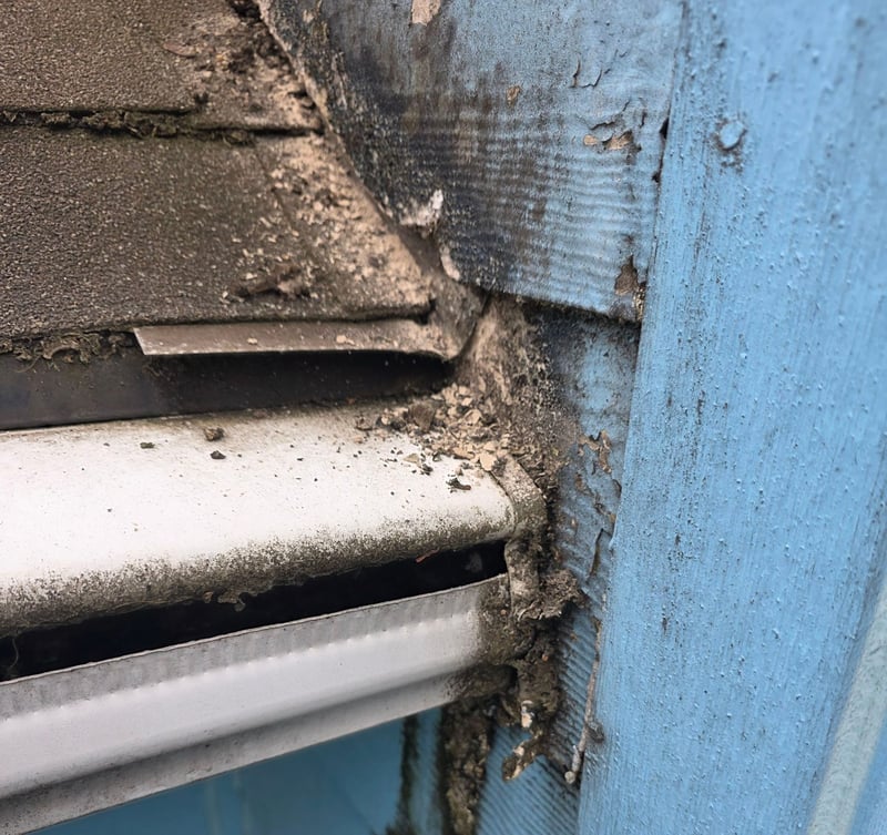 edge of gutter before installing flashing and diverter