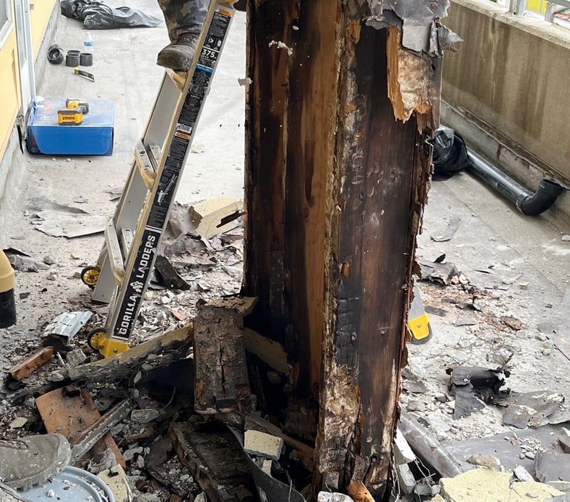 entire post rotting
