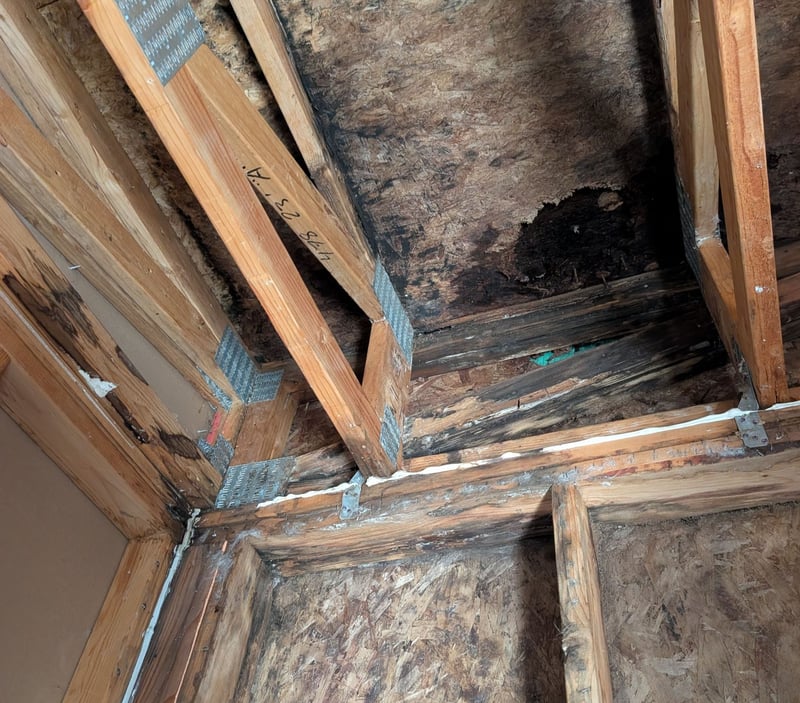 flat roof no insulation ceiling, wall, and truss rotting